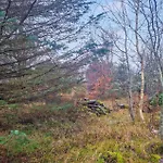 3 Bedroom Amazing In Ålbæk