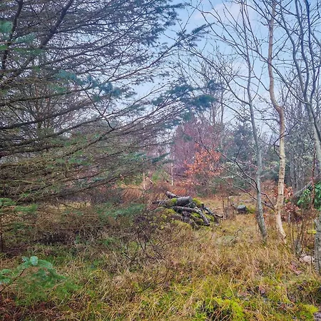 3 Bedroom Amazing In Ålbæk