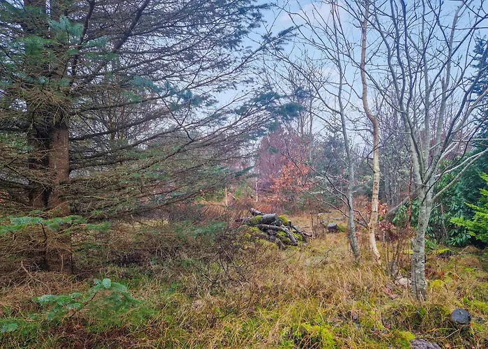 3 Bedroom Amazing In Ålbæk